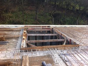 Debníme